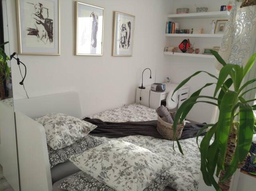 Apartment New Sun With Free Parking *