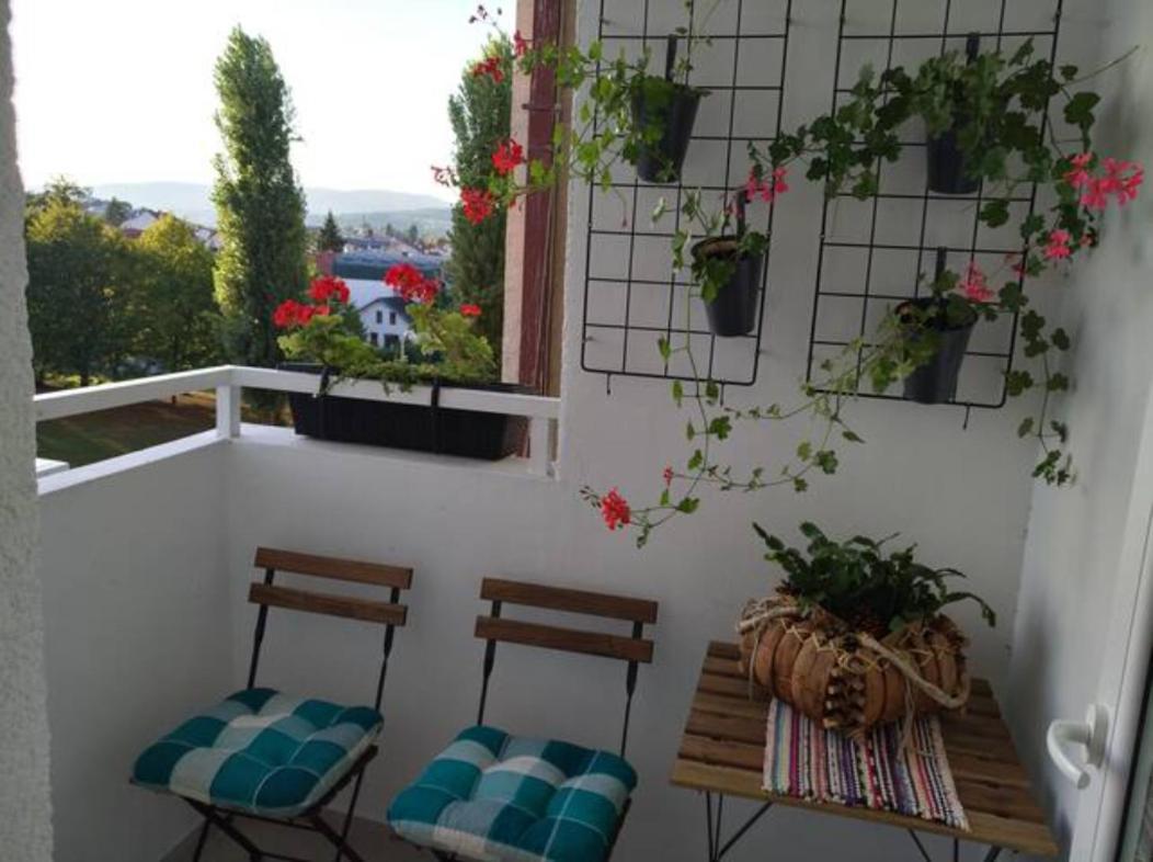 New Sun With Free Parking Apartment *