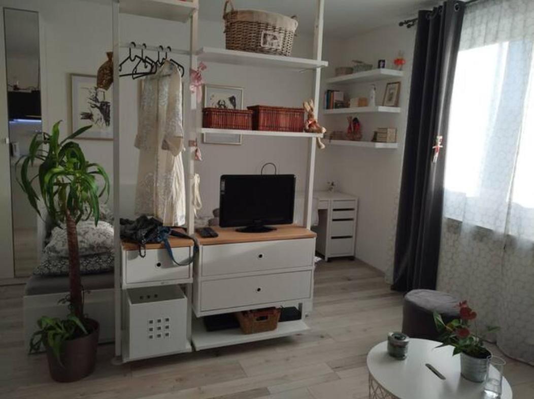 Apartment New Sun With Free Parking *