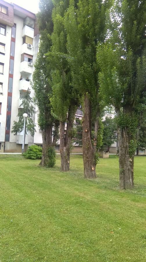 New Sun With Free Parking * Zagreb