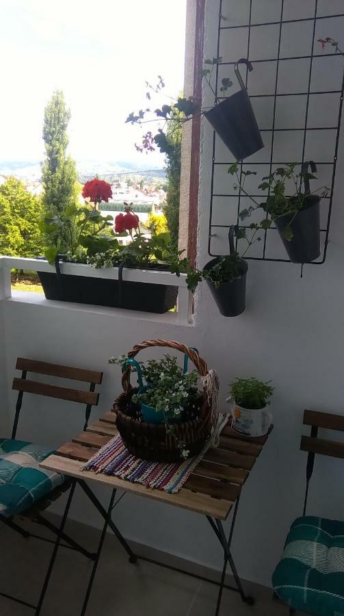 Apartment New Sun With Free Parking *